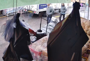 �뱸 'ĳ���� �ý�' ������ ���, ���� ���¼� �� ��Ű�� ���� ����