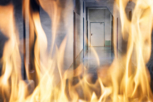 ���� ����Ʈ 1���� �ҡ��ֹ� 40���� ���ǡ�2�� �λ�