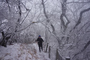 �����ο� �������� ���� 1000���� �ɼ� ������� �ͳΡ� ���