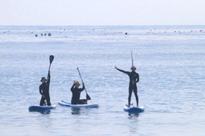 �λ��, ��ü�� ���Ͻ����� ���� ���� 13�� Ȯ��