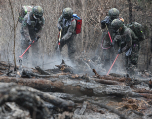 ������� �� �����Ⱓ ��ü ���ο��� ���ԱⰣ ����