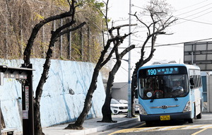 ��ȭ �յΰ� ������ ����ġ�⡦���븸 ���� �꺹���� ������