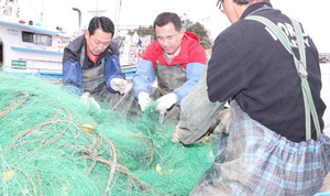 ������, �嵿�� �������������������� �ĺ��� �� ��ǥ �Ÿ��α� Ȯ��