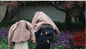 27��(������) ���� ��ü�� ���������� �����ǡ���������û ��