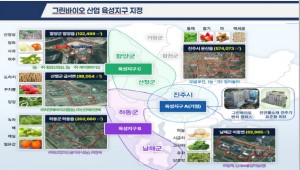 ȭǰ ⡯ɼ ǰ 鼼ᡯΰ泲 