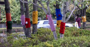 ºÎ»ê¡¤¿ï»ê¡¤°æ³² °ÇÁ¶ÁÖÀǺ¸¡¦µµ·Î »ì¾óÀ½ ÁÖÀÇ