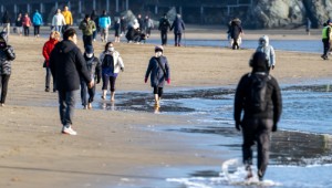 �屸��15�衤����� 8�衦�ٴ��� �ؼ����� ���� ���