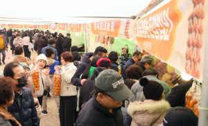 �������Ծ� ������ �������� �ʴ��