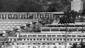 3�� ����ȭ���� ���硦������� ���� ���� �ο�