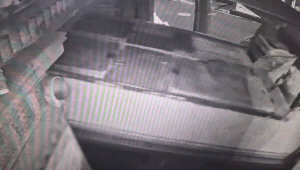 Ȱ������ ������ ���Ա� �ν� �ͱݼ� ��ģ 40�� ����