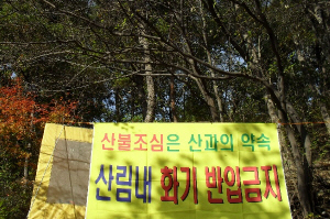 â�� ��â�� ��� ��ȭ�������л��� �Ҳɳ��� �ϴ� �ҡ� ��ݴ�