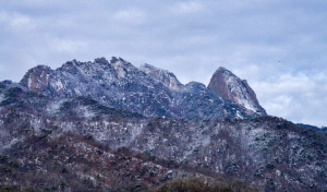 ���ѻ� ��ȭ�硤�ݻ�� �α� ��ҡ���ȭ���ܺ� ���� ��