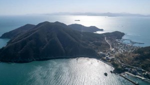 �������Ű��� ���� ���� ����, ���ǰ������ ����