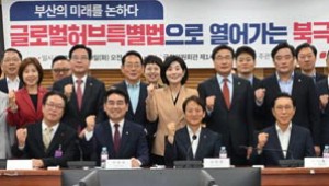 ¡®ºÎ»ê±Û·Î¹úƯº°¹ý¡¯ 2³â ¸¸¿¡ ½É»ç ù¹ß¡¦11ÀÏ °øÃ»È¸