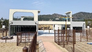 ������ �ݷ��������� �� �ִ� ���� �����ũ �ù��