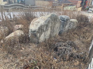 ���������� �Ѽյ� ������� ���� ����, ù ����ȭ ����