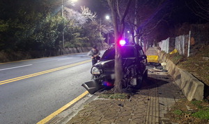 ¡®´ç±Ù¡¯¼ Áß°íÂ÷ »ê 10´ëµé ¹«¹ýÁúÁÖ