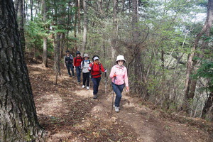 ´ÜÁ¾¿¡ ÃæÀÇ ÁöŲ Á¶·Á ±â·Á °³¸íÇÑ ½Ö»ê