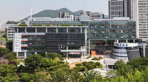 ��������� ������ ���� �����䡱 �������� ���� �����