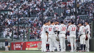 ����å�� ������ �����Ρ��Ե� �������� �߶�