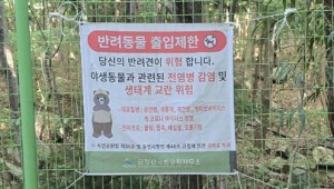 ������ �ݷ��� �� �� �ֳ��������������� ���� �Ұ���