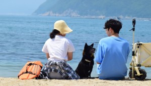 �泲���� 26�� �ؼ����� 4�Ϻ��� ���ʷ� ����