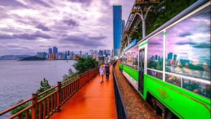 ·¹Æ®·Î ºÐÀ§±â ÇØ¿î´ëºí·ç¶óÀÎÆÄÅ© dz±¤ '¾öÁöô'