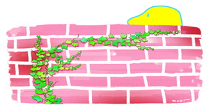 [�� ������ ����] Ħ�� /���̱�