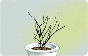 [�� ������ ����] �Ÿ��� ���屺���� /��ġ��