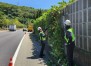 �λ�ü�����, ���ð��ӵ��� ������ ���� ���� ���� ����